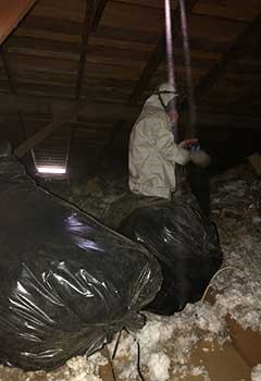 Low Cost Attic Decontamination Near Encinitas