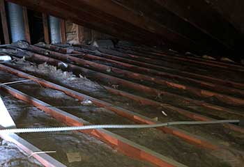 Attic Decontamination - Encinitas